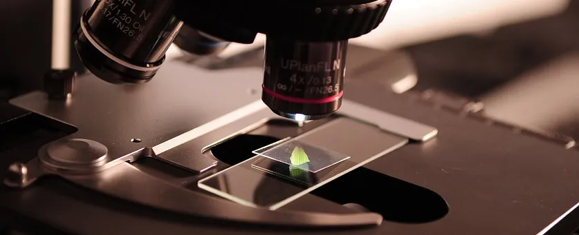 xUnit Roslyn Analyzers